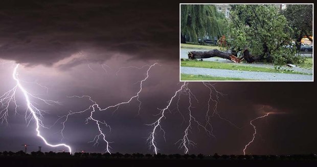 Hasiči nejčastěji vyjížděli kvůli spadlým stromům