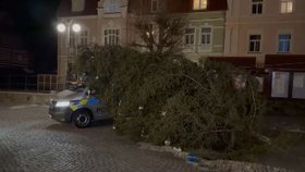 Na policejní auto před městským úřadem ve Chřibské spadl vánoční strom.