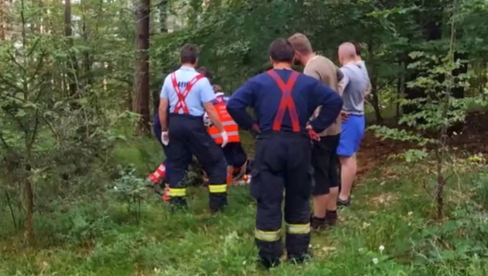 Důchodce strávil tři dny zavalený stromem.