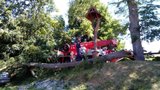 Smůla řidiče na Plzeňsku: Zafoukal větříček a na oktávku spadl vzrostlý strom 