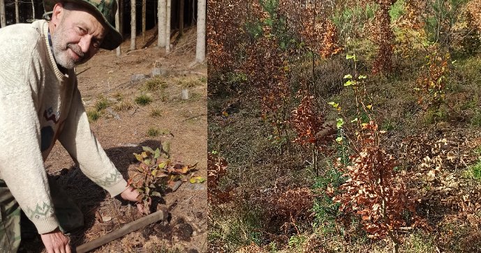 Aleš Ryšavý (63) z Návsí už zasadil přes šest tisíc stromů.