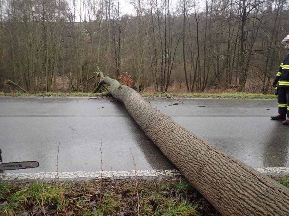 Dopravu na Mladoboleslavsku komplikoval silný vítr, který vyvrátil několik stromů.