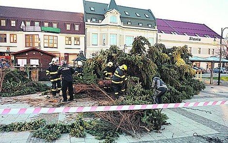 Hasiči rozřezávají strom. 