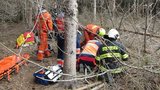 Tragédie při kácení: Strom se zasekl a pak zavalil muže, na místě zemřel