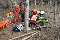 Tragédie při kácení: Strom se zasekl a pak zavalil muže, na místě zemřel