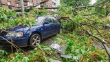 Bouřka zasáhla Brno i Prostějov. Hasiči odklízeli stromy i čerpali vodu