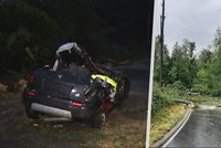 Tragédie na Písecku: Strom zcela rozdrtil auto, že děti přežily,je malý zázrak!