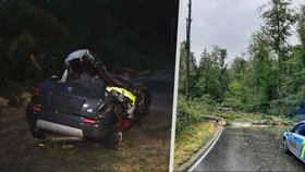 Na Písecku spadl strom na automobil. Dva lidé zemřeli a dvě děti utrpěly zranění.