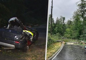 Na Písecku spadl strom na automobil. Dva lidé zemřeli a dvě děti utrpěly zranění.