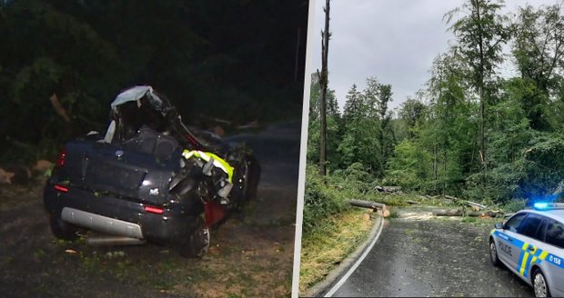 Tragédie na Písecku: Strom zcela rozdrtil auto, že děti přežily,je malý zázrak!