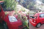 Spadlý strom v Brně poškodil šest aut. Zasahovaly tři jednotky hasičů.