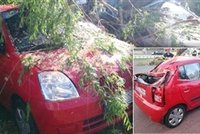 Spadlý strom v Brně zdemoloval šest aut, škody vyjdou na statisíce