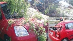 Spadlý strom v Brně poškodil šest aut. Zasahovaly tři jednotky hasičů.