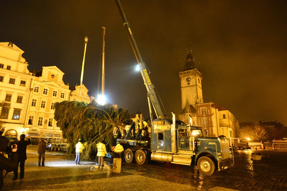 Staroměstské náměstí zdobí vánoční strom. Přes noc jej dělníci usadili do země, kde vydrží téměř měsíc a půl.