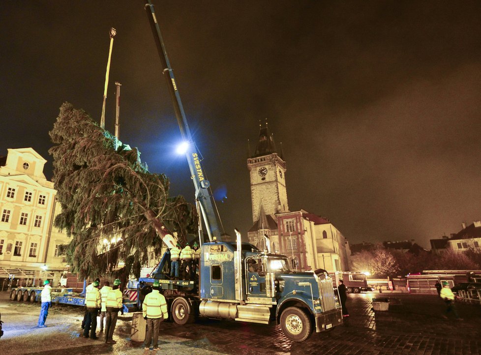 Staroměstské náměstí zdobí vánoční strom. Přes noc jej dělníci usadili do země, kde vydrží téměř měsíc a půl.