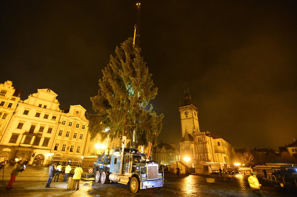 Staroměstské náměstí zdobí vánoční strom. Přes noc jej dělníci usadili do země, kde vydrží téměř měsíc a půl.