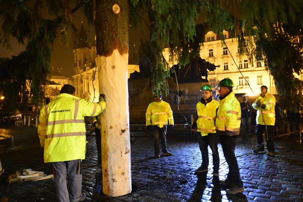 Staroměstské náměstí zdobí vánoční strom. Přes noc jej dělníci usadili do země, kde vydrží téměř měsíc a půl.