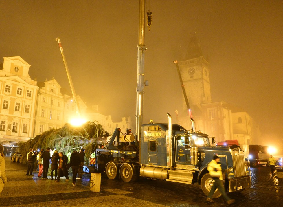 Staroměstské náměstí zdobí vánoční strom. Přes noc jej dělníci usadili do země, kde vydrží téměř měsíc a půl.