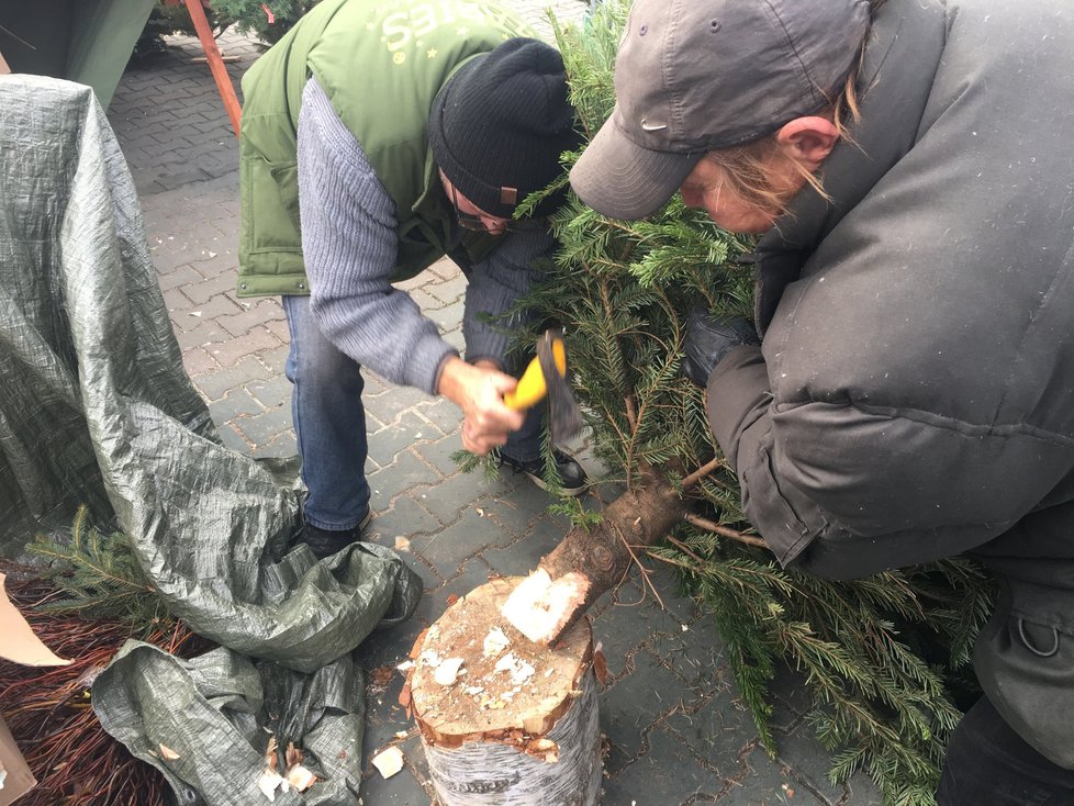 Kupovali hlavně ti, kteří mají sklepy nebo balkony.