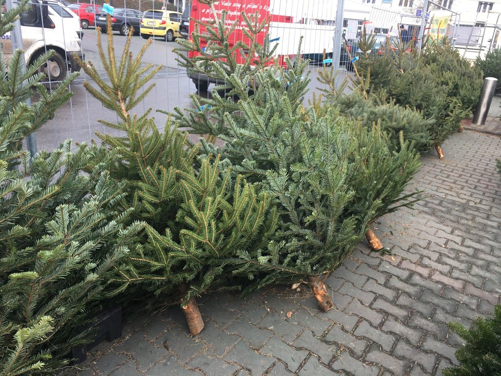 Podle jeho mínění není největším úskalím bydlení v maringotce spoustu kilometrů od domova, ale zrádné počasí.