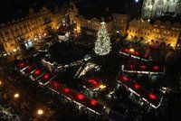 Praha našla strom pro vánoční trhy na Staromáku. Smrk měří 31 metrů