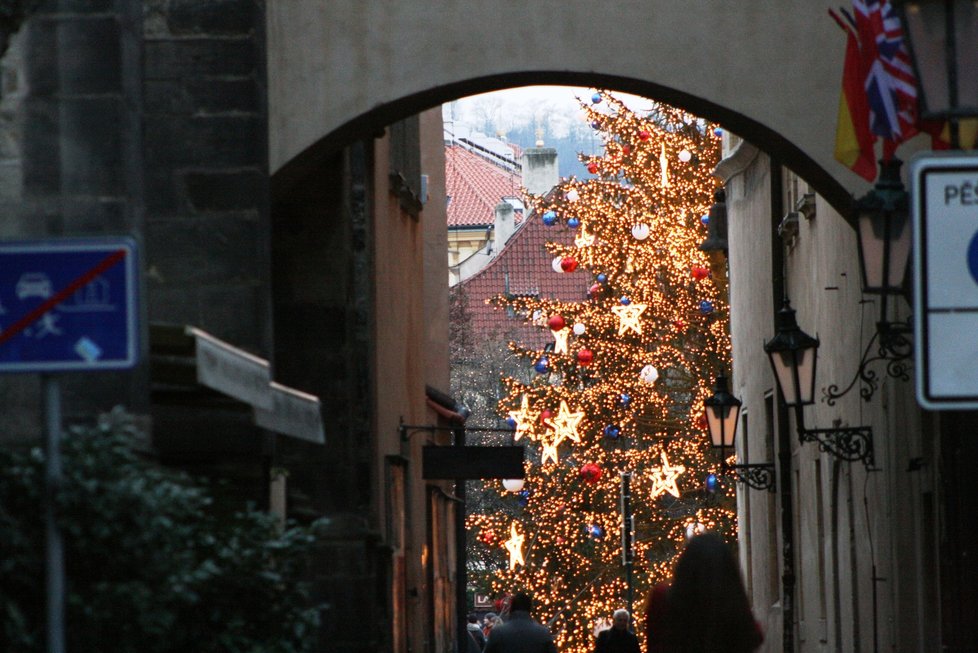 Vánoční strom na Staroměstském náměstí 8. prosince