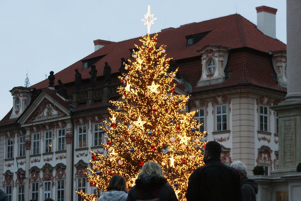 Vánoční strom na Staroměstském náměstí 8. prosince