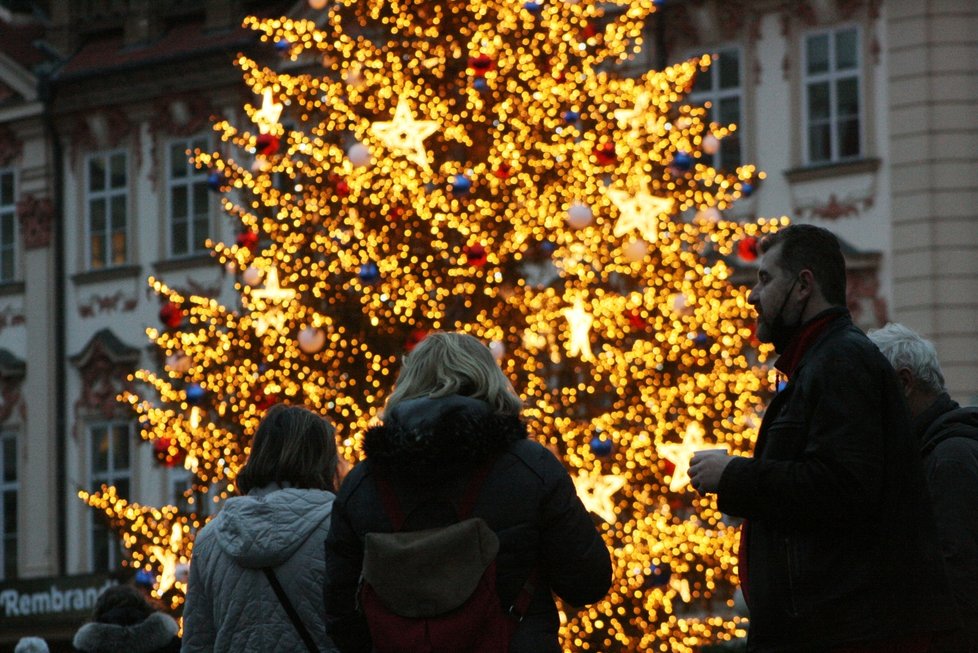 Vánoční strom na Staroměstském náměstí 8. prosince