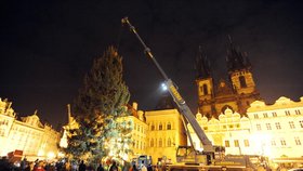 Instalace vánočního stromu na Staroměstské náměstí