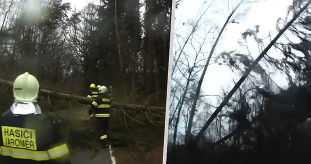 Stromy padaly jako třísky! Hrozivé video vichřice na Náchodsku