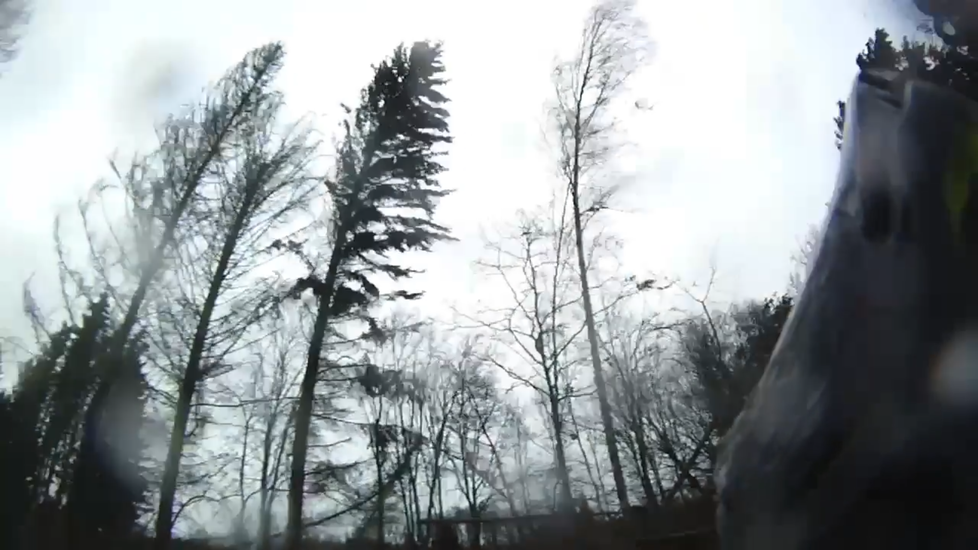 Padající stromy u Krabčic.