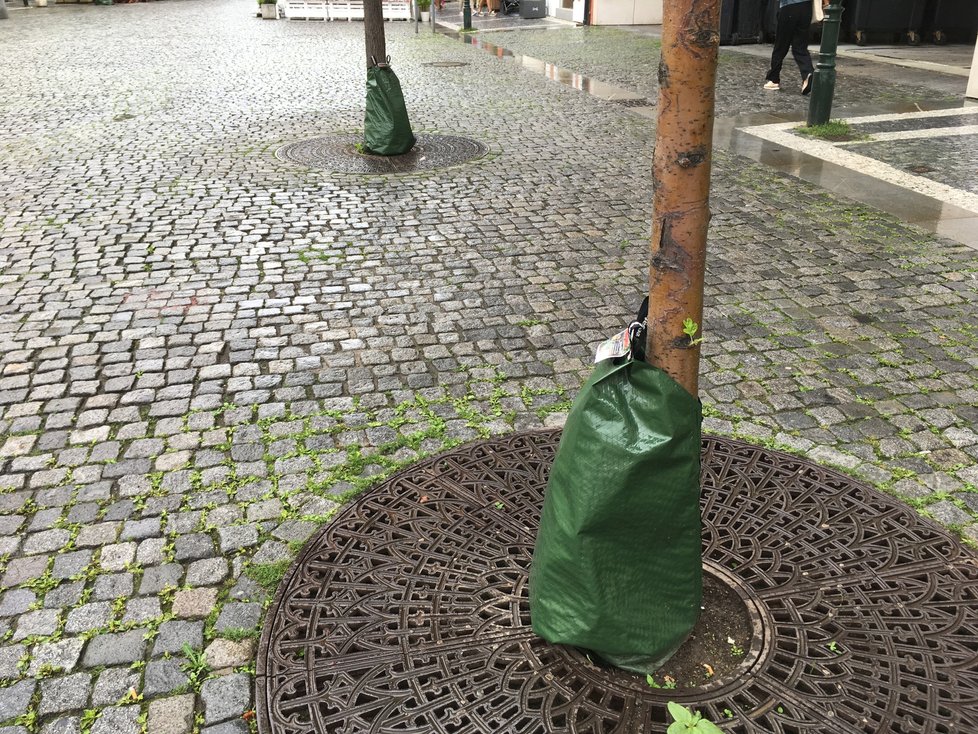 Vaky zajišťují stromům postupný přísun životodárné vody.