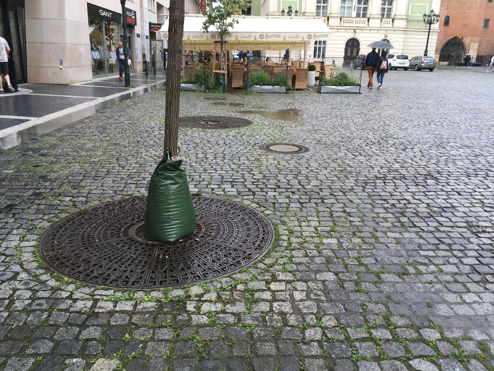 Vaky zajišťují stromům postupný přísun životodárné vody.