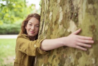 Zázračné stromy: Kaštan dodá klid, líska chrání před negativní energií