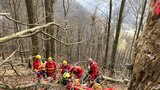 Lesního dělníka při kácení zavalil strom a sanitka píchla kolo: Záchranou byli hasiči