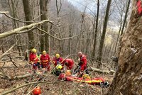 Lesního dělníka při kácení zavalil strom a sanitka píchla kolo: Záchranou byli hasiči