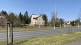 Krutý vandal v Plzni nenávratně zničil stromy: Mladým listnáčům ulámal koruny