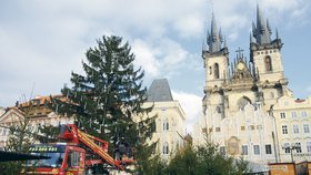 Letošní strom na Staroměstském náměstí bude ozdoben ve stylu secese