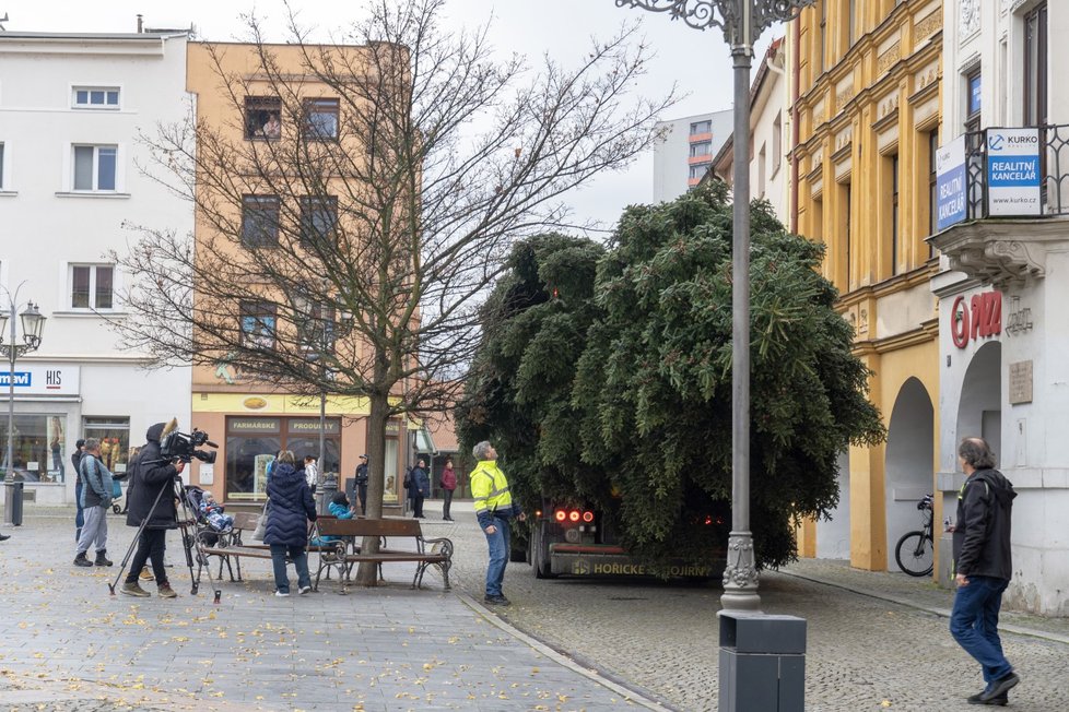 Smrk stál u chaty na Hukvaldech, kterou zesnulý muž miloval. Pokácely ho a převezly technické služby Frýdku-Místku na náměstí.