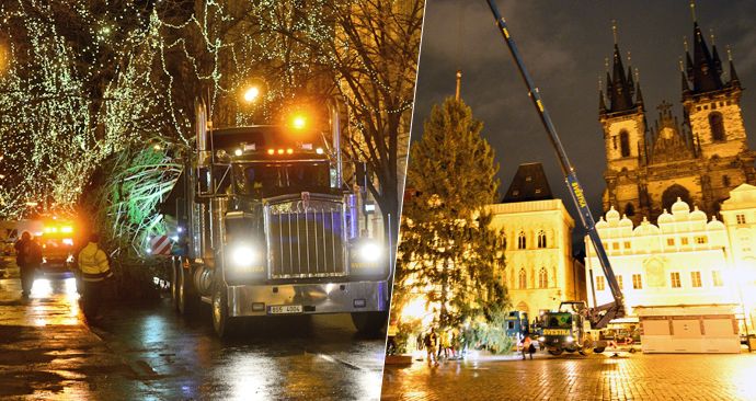 Na Staromáku „vyrostl“ vánoční strom pro Prahu: Podívejte se, jak proběhlo jeho usazení.