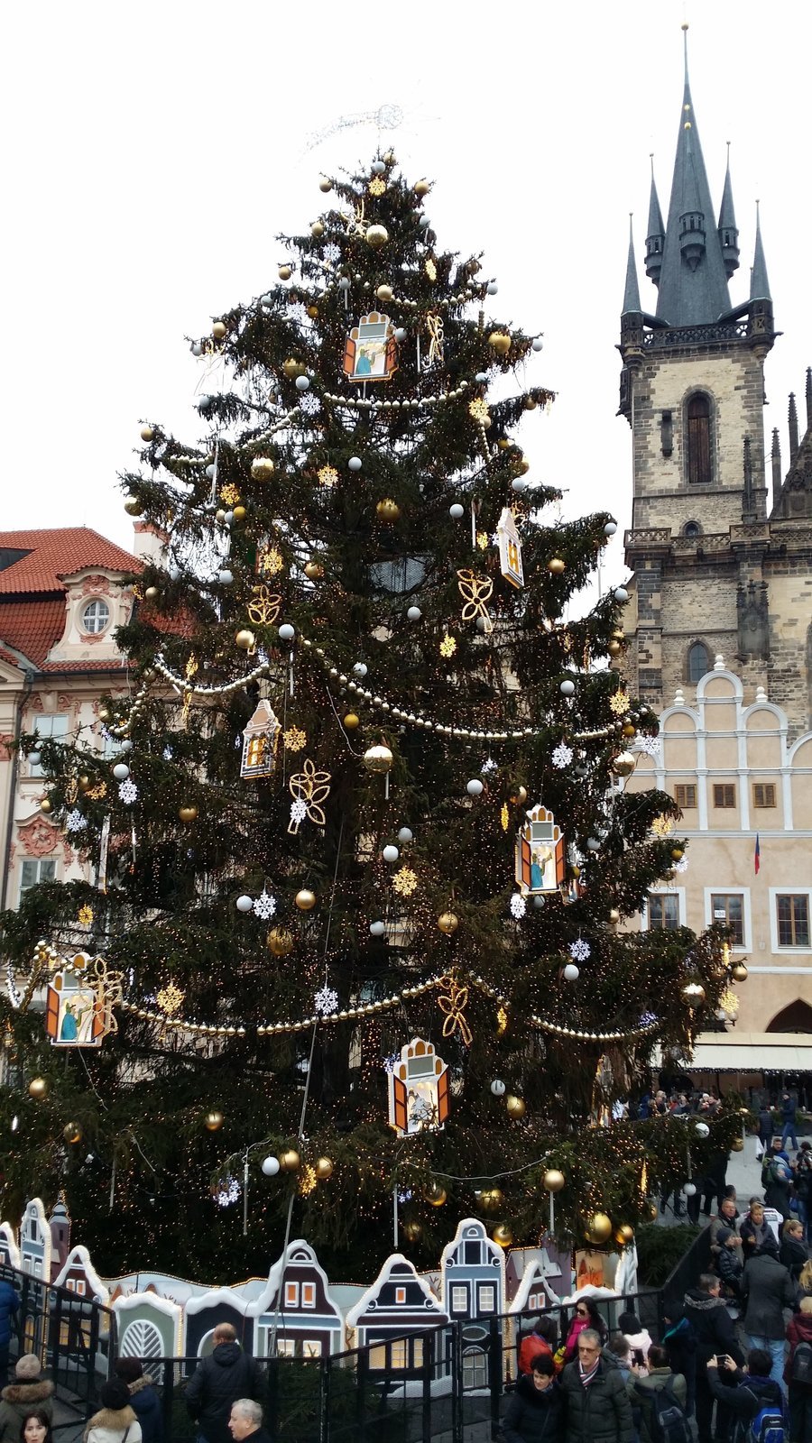 Vánoční strom pro Prahu je z  České Lípy.