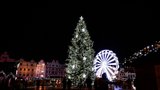 Plzeň hledá vánoční strom! Zn: Pohledný jehličnan na dobře přístupném pozemku
