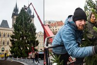 V centru Prahy „vyrostl“ vánoční strom: V sobotu se na něm rozsvítí 100 tisíc žárovek!