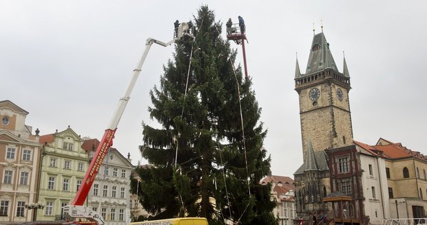 20metrový vánoční strom na Staroměstském náměstí.