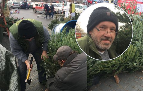 Prodejce: Vánoční stromky řežeme už v září. Čechům se líbí hlavně ty, co jsou levné