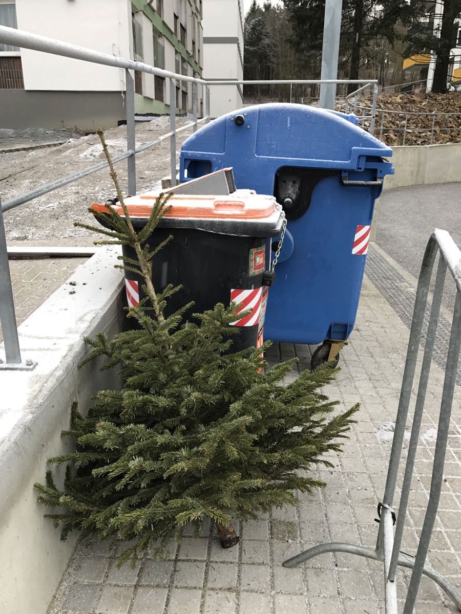 Svozové programy se budou snažit předcházet hromadění odpadků u popelnic během svátků (Ilustrační foto).