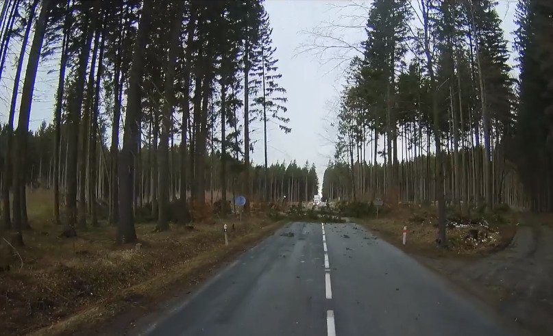 Jako z apokalyptického filmu: Hasiči odklízeli padlý strom, když se zvedl vítr a stromy popadaly jako domino!