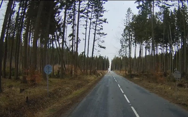 Jako z apokalyptického filmu: Hasiči odklízeli padlý strom, když se zvedl vítr a stromy popadaly jako domino!