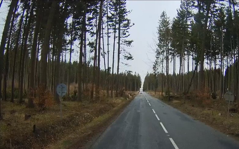 Jako z apokalyptického filmu: Hasiči odklízeli padlý strom, když se zvedl vítr a stromy popadaly jako domino!