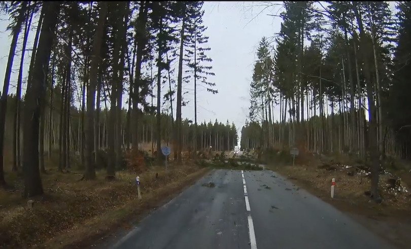 Jako z apokalyptického filmu: Hasiči odklízeli padlý strom, když se zvedl vítr a stromy popadaly jako domino!